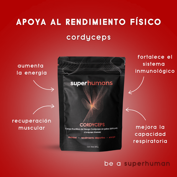 Cordyceps